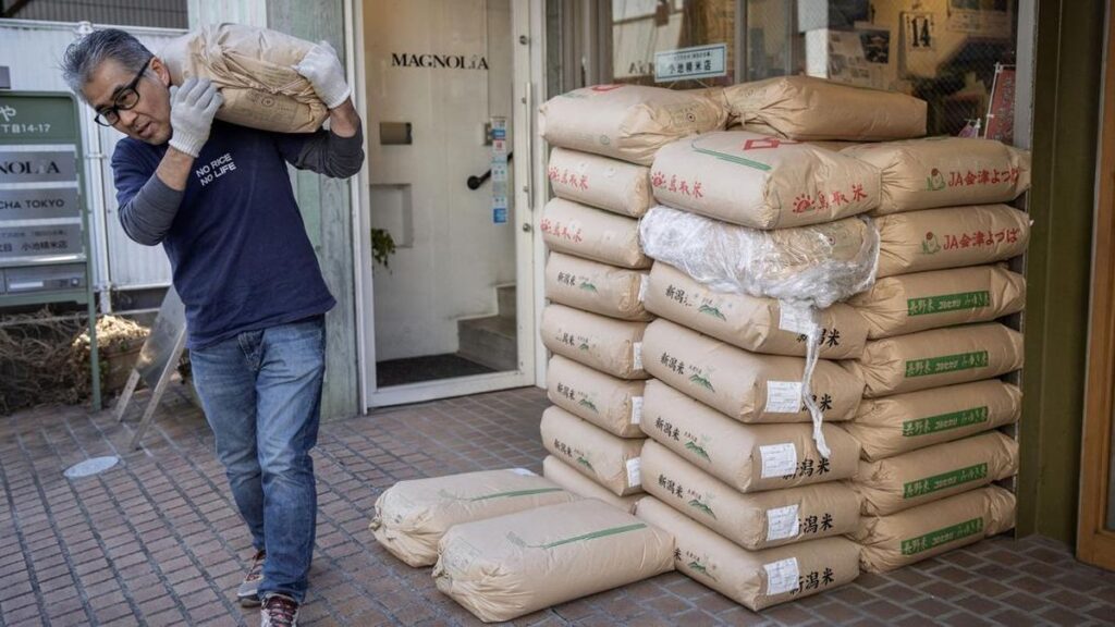 Daftar Negara Mulai Hadapi Masalah Beras, Apa Penyebabnya?